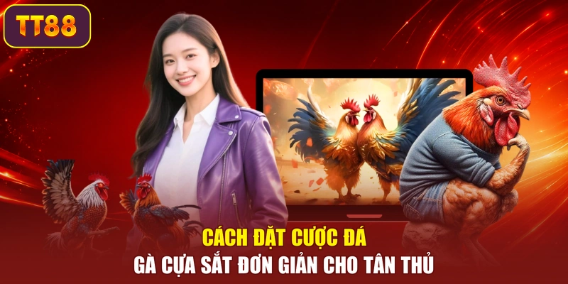 Cách đặt cược đá gà cựa sắt đơn giản cho tân thủ