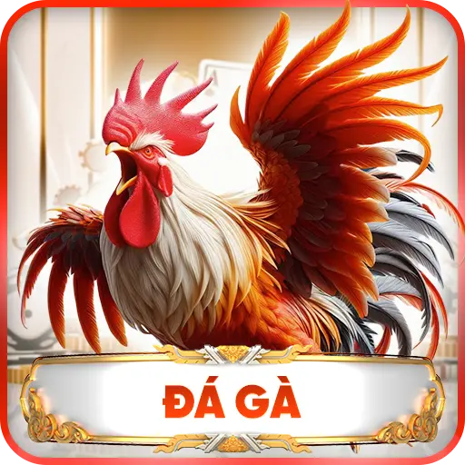 đá gà