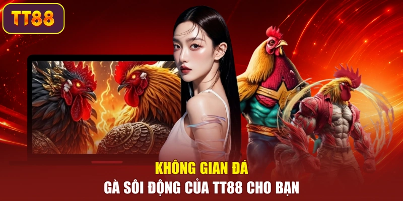 Không gian đá gà sôi động của TT88 cho bạn