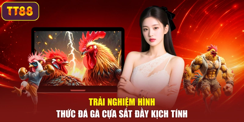 Trải nghiệm hình thức đá gà cựa sắt đầy kịch tính